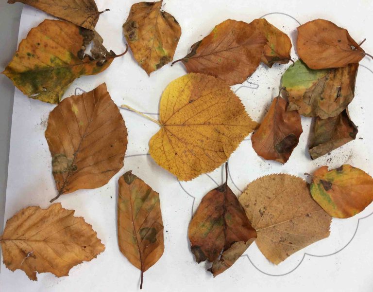 Autumn leaves artwork Nursery